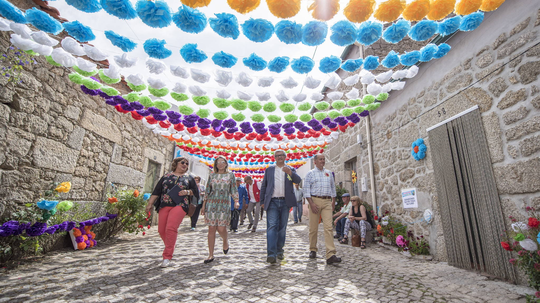 Festival das Flores